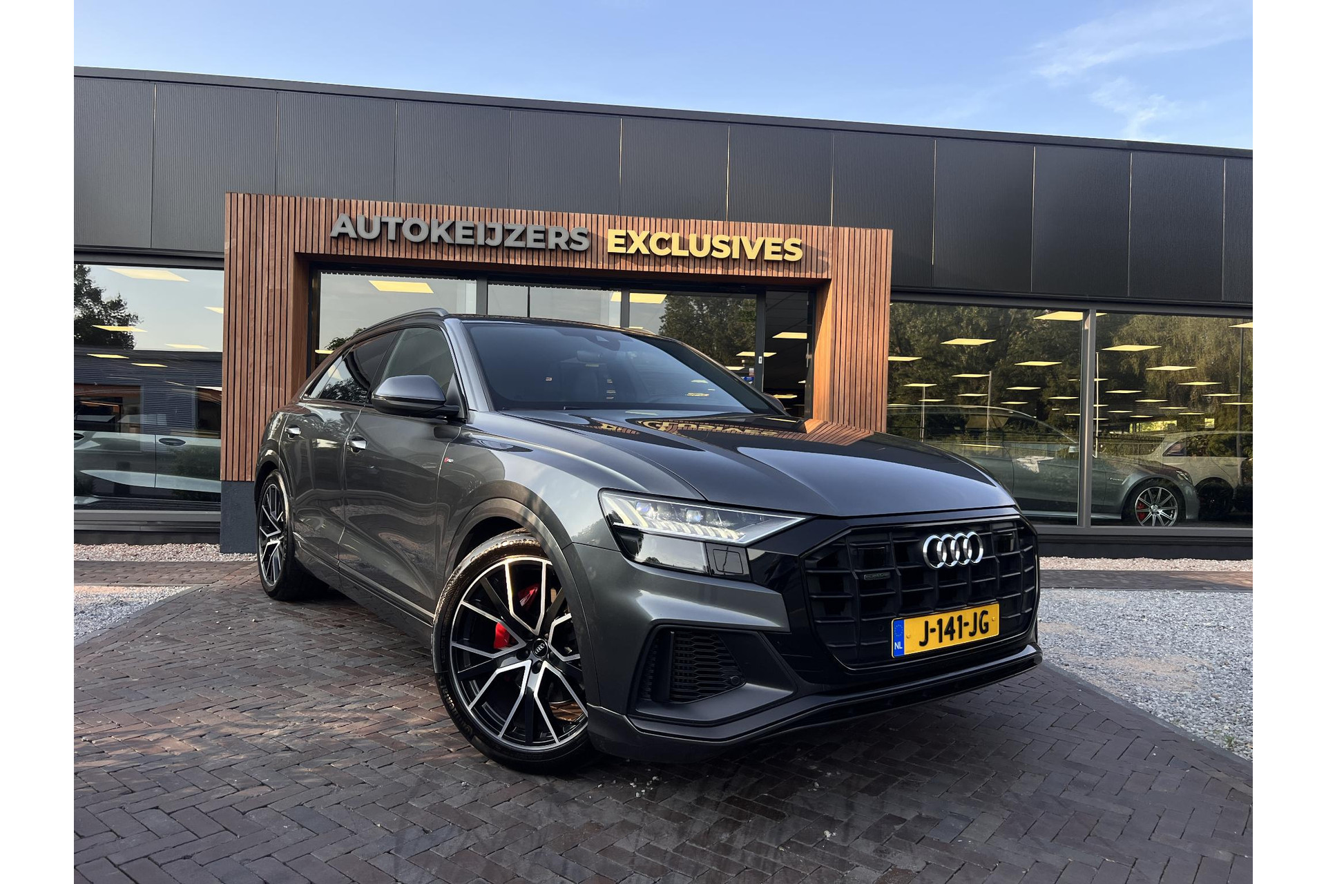 Audi Q8 55 TFSI quattro Pro Line Plus 2020 Daytonagrijs pareleffect 1